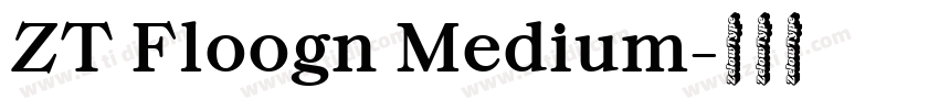 ZT Floogn Medium字体转换